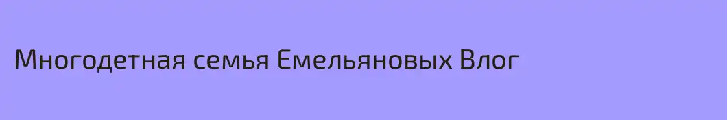 Многодетная семья Емельяновых Влог